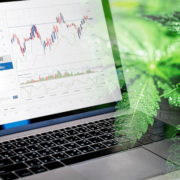 Canadian Marijuana Stocks To Watch Today 2024