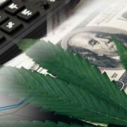 Here Are 2 Marijuana Stocks To Add To Your Portfolio