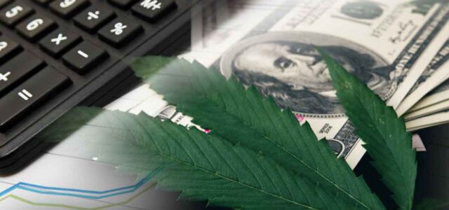 Here Are 2 Marijuana Stocks To Add To Your Portfolio