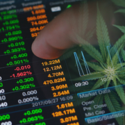 Here Are 3 Top Marijuana Stock For Your Portfolio