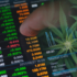 Here Are 3 Top Marijuana Stock For Your Portfolio