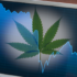 Marijuana Stocks To Know For Trading This Week