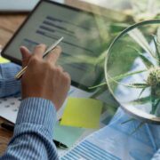 Top Ancillary Cannabis Stocks Poised for Growth in July 2024