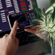 Top Marijuana Stocks For June 2024