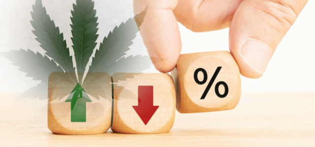 Top US Marijuana Stocks Gaining Momentum in the Last Month