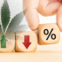 Top US Marijuana Stocks Gaining Momentum in the Last Month