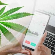 3 Marijuana Stocks For Investors To Trade Today