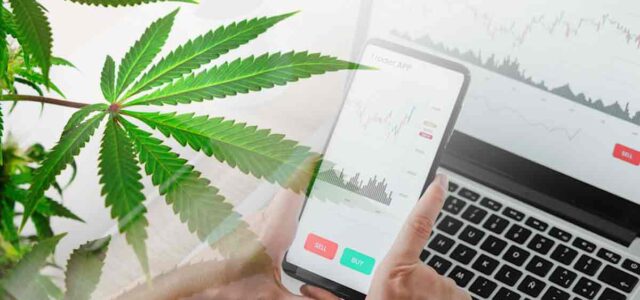 3 Marijuana Stocks For Investors To Trade Today