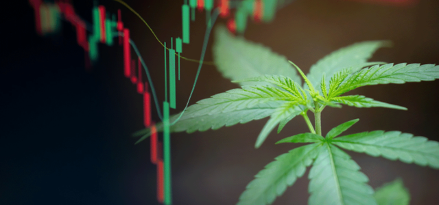 3 Marijuana Stocks To Buy And Hold Before The Weekend