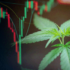 3 Marijuana Stocks To Buy And Hold Before The Weekend