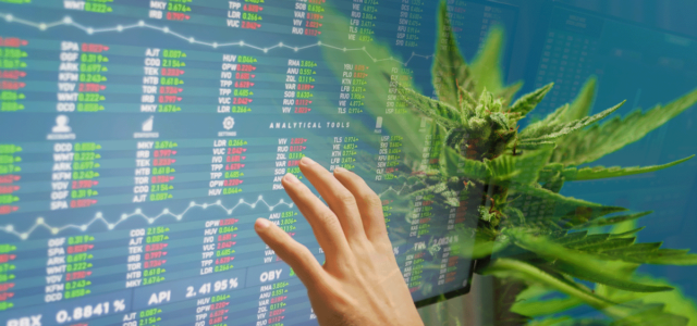 3 Marijuana Stocks To Watch Mid-July