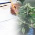 3 Top Marijuana Stocks For Cannabis Investing In July