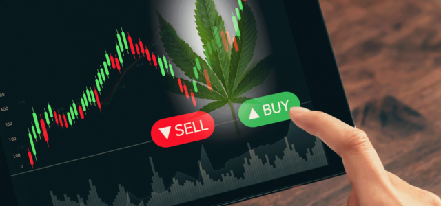 Are These 3 Marijuana Stocks To Buy And Hold The Rest Of 2024