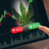 Are These 3 Marijuana Stocks To Buy And Hold The Rest Of 2024