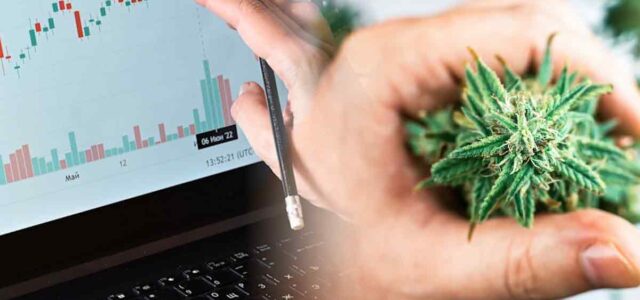 Marijuana Stocks For Cannabis Investors To Watch Today