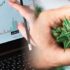 Marijuana Stocks For Cannabis Investors To Watch Today