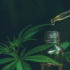 Member Blog: CBD When Pregnant – Is CBD Safe To Use During Pregnancy?