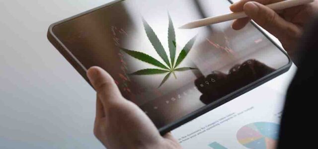 Top Ancillary Cannabis Stocks to Add to Your Watchlist Before August