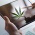 Top Ancillary Cannabis Stocks to Add to Your Watchlist Before August