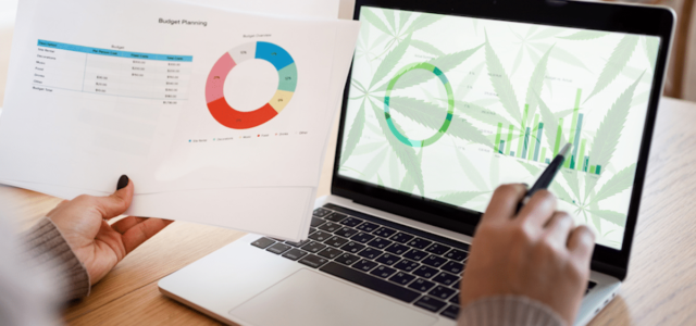 Top Canadian Cannabis Stocks to Watch in Mid-July 2024