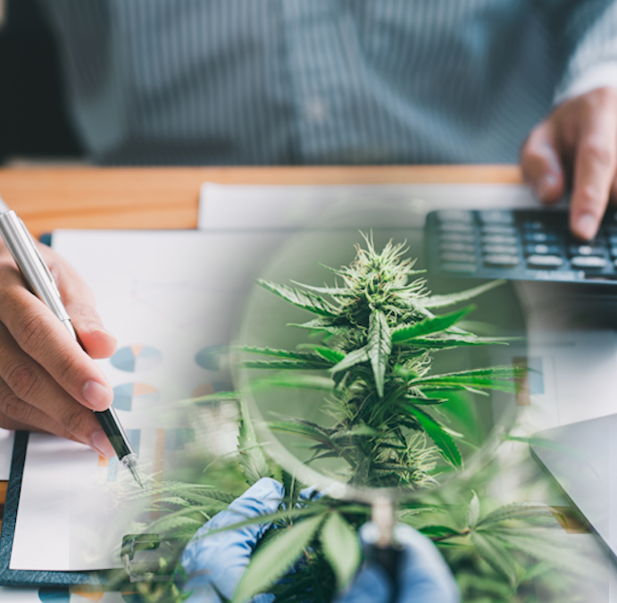 Top Marijuana Stocks For Your August Watchlist