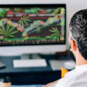 2 Marijuana Stocks To Add To Your 2024 Cannabis Portfolio