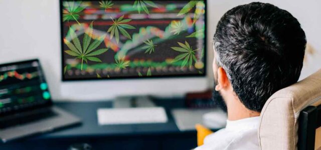 2 Marijuana Stocks To Add To Your 2024 Cannabis Portfolio