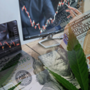 2024’s Top US Marijuana Stocks: Double-Digit Percentage Gains Year to Date