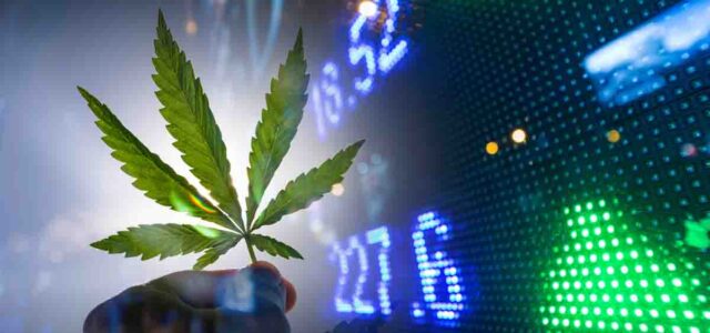 Best Marijuana Stocks to Watch in Mid-August: High Potential Picks