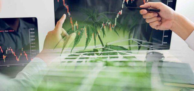 The Best Marijuana Stocks To Watch For Big Gains In 2024