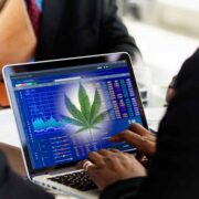 Top Canadian Cannabis Stocks to Watch Before September