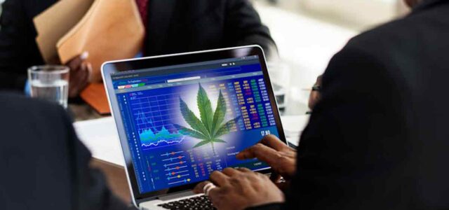 Top Canadian Cannabis Stocks to Watch Before September