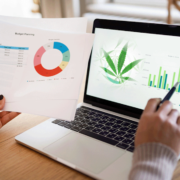 Top Canadian Cannabis Stocks to Watch Now: High-Growth Opportunities in 2024