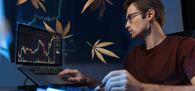 Top Marijuana Stocks to Watch in August for High Growth