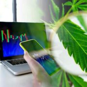 Top US Cannabis Stocks for September: Emerging Leaders to Watch