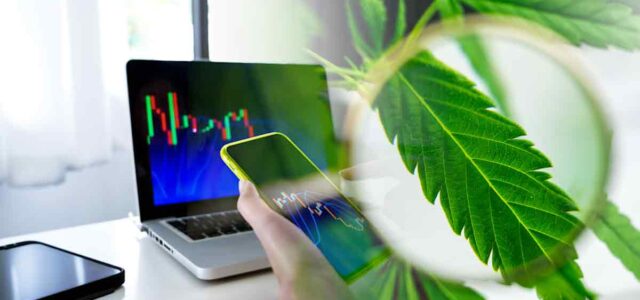 Top US Cannabis Stocks for September: Emerging Leaders to Watch