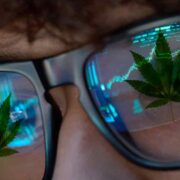 2 Top Marijuana Stocks To Watch This Upcoming Week