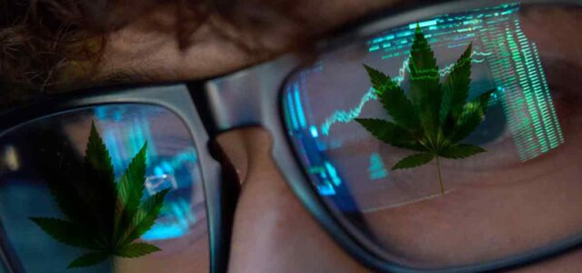 2 Top Marijuana Stocks To Watch This Upcoming Week