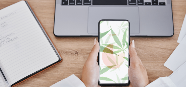 3 Leading Marijuana Stocks Poised for Growth in September 2024