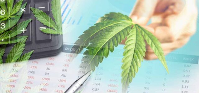 3 Marijuana Stocks To Start The Week