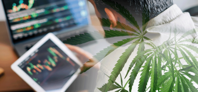 Best Ancillary Cannabis Stocks Poised for Growth Before Q4 2024