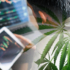 Best Ancillary Cannabis Stocks Poised for Growth Before Q4 2024