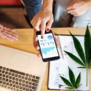 Best Ancillary Cannabis Stocks to Keep an Eye on This September