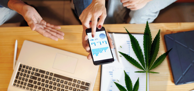 Best Ancillary Cannabis Stocks to Keep an Eye on This September