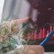 Canadian Cannabis Stocks Set to Soar Right Now