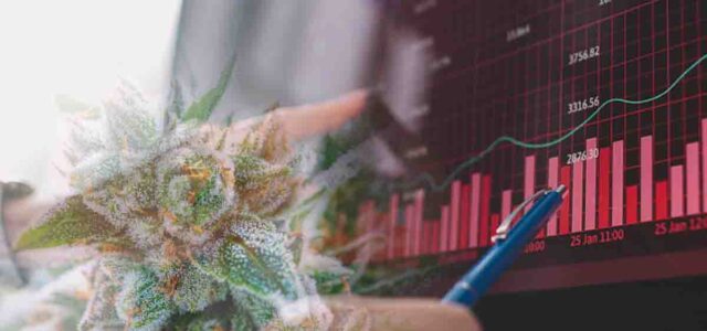 Canadian Cannabis Stocks Set to Soar Right Now