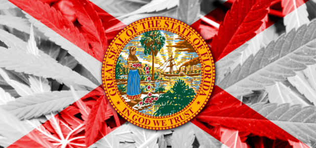 Florida Cannabis Legalization Vote Q&A