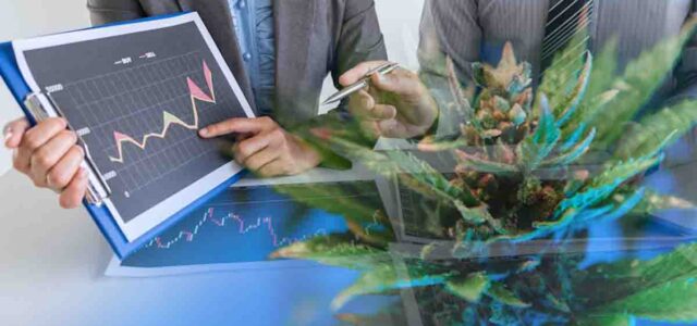 Maximizing Returns: The Top Cannabis REITs for Long-Term Investment Strategies