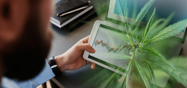 September 2024 Watchlist: Leading Cannabis REITs for Investment