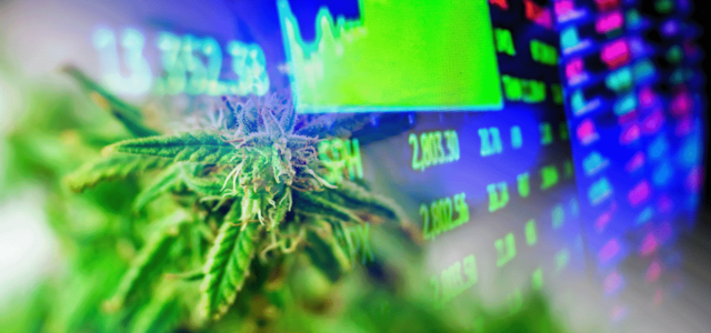 Top Marijuana Stocks In The Stock Market Today